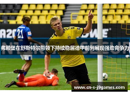 弗赖堡在舒斯特尔带领下持续稳居德甲前列展现强劲竞争力 弗赖堡在舒斯特尔带领下持续稳居德甲前列展现强劲竞争力