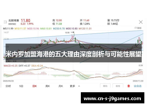 米内罗加盟海港的五大理由深度剖析与可能性展望 米内罗加盟海港的五大理由深度剖析与可能性展望